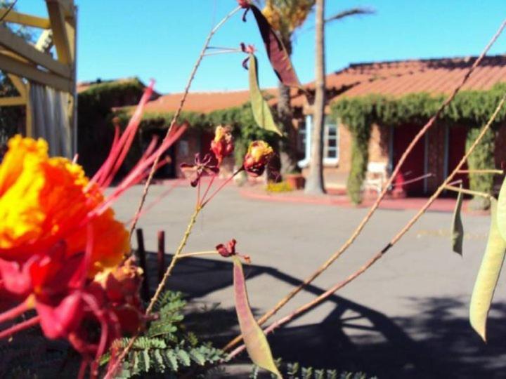 La Siesta Motel Tucson Esterno foto